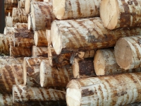Industria del legno a rischio paralisi per mancanza di materie prime