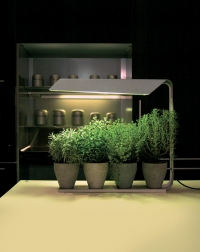 Una lampada per coltivare le piante
